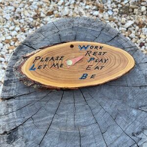 Wood Carved sign “Please Let Me”